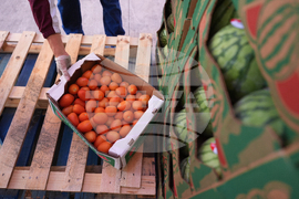 Government Shutdown Food Bank