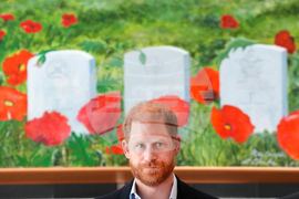 Canada Remembrance Day Prince Harry