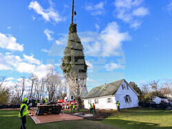 2025 Rockefeller Center Christmas Tree
