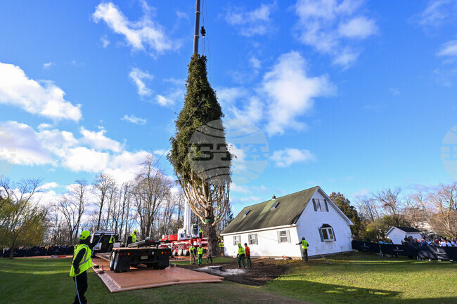 2025 Rockefeller Center Christmas Tree