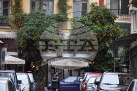 Гърция - Солун - ежедневие - портокалови дръвчета