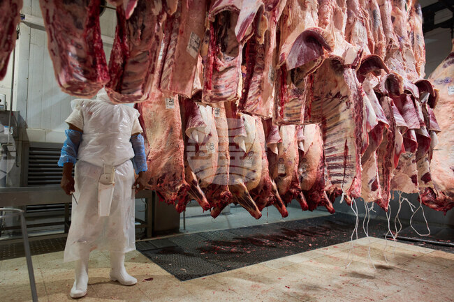 APTOPIX Argentina Beef