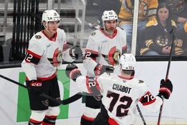 Senators Bruins Hockey