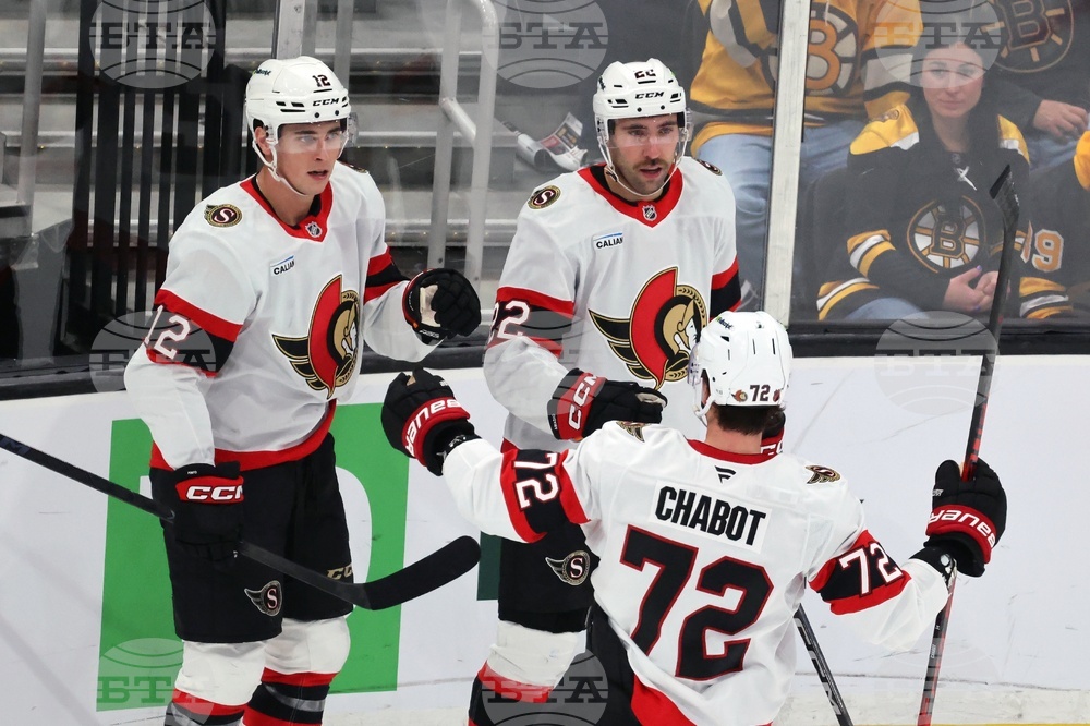 Senators Bruins Hockey