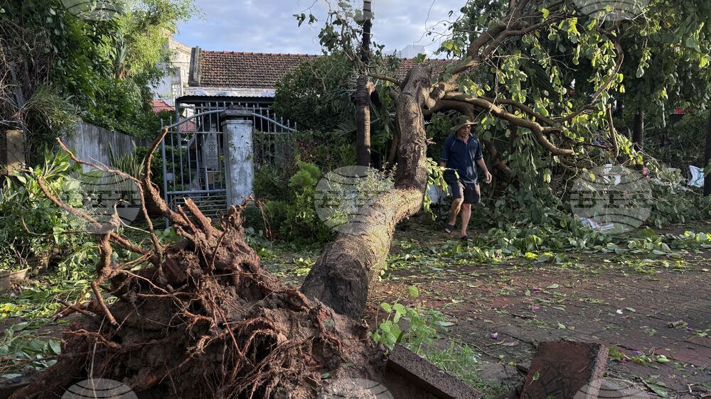 Най-малко 15 души са загинали, а 19 са били ранени при проливни дъждове и свлачища през последните три дни във Виетнам