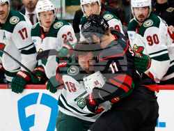 Wild Hurricanes Hockey