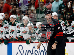 Wild Hurricanes Hockey