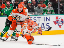 Ducks Stars Hockey