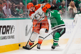 Ducks Stars Hockey