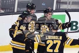 Senators Bruins Hockey