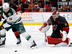 Wild Hurricanes Hockey