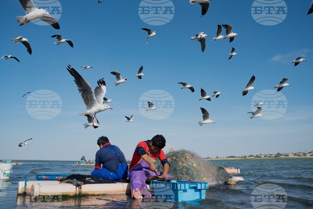 Pictures of the Week Latin America and Caribbean Photo Gallery