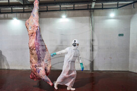 Pictures of the Week Latin America and Caribbean Photo Gallery