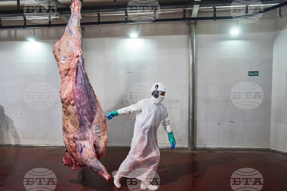 Pictures of the Week Latin America and Caribbean Photo Gallery