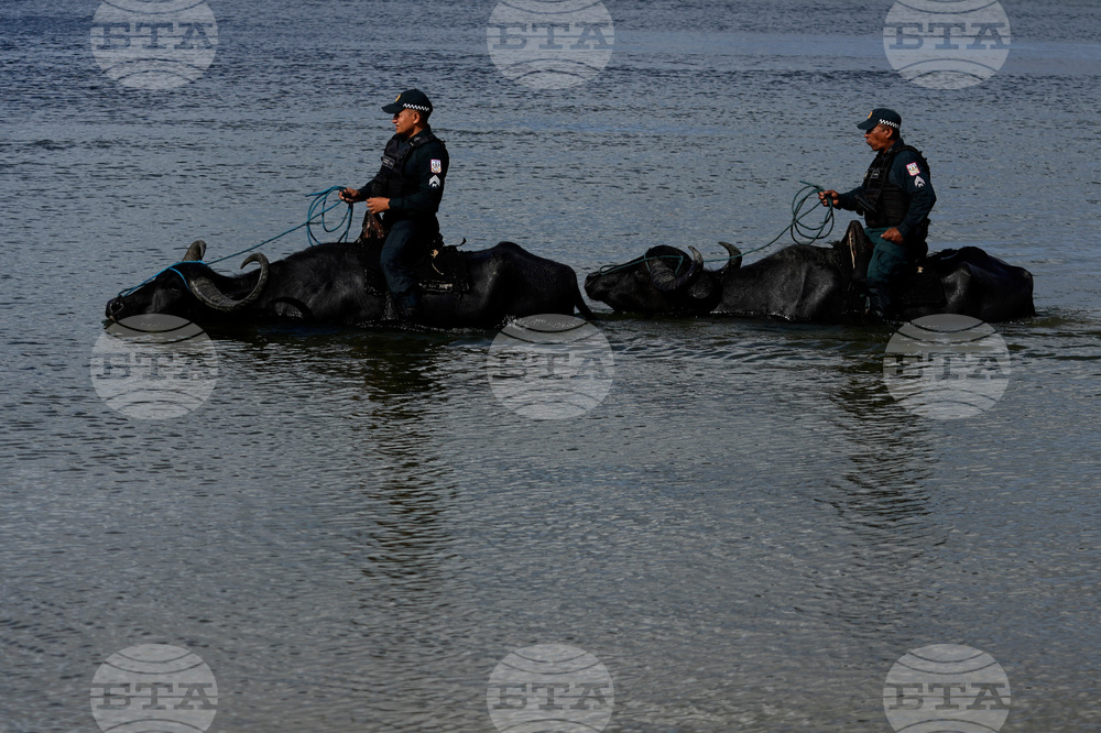 Pictures of the Week Latin America and Caribbean Photo Gallery