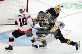 Senators Bruins Hockey