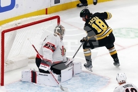 Senators Bruins Hockey