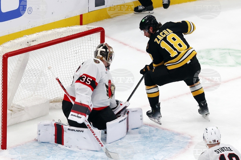 Senators Bruins Hockey