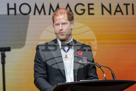 Canada Remembrance Day Royal