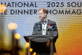 Canada Remembrance Day Royal