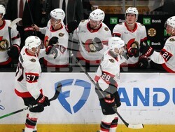 Senators Bruins Hockey
