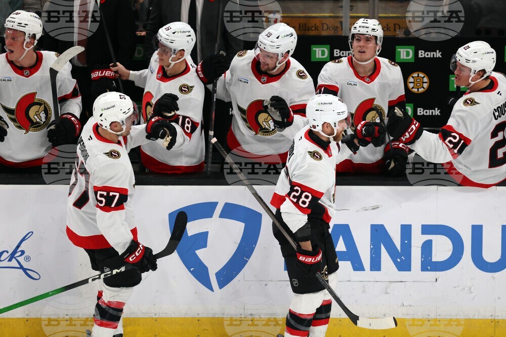 Senators Bruins Hockey