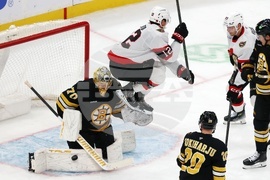 Senators Bruins Hockey
