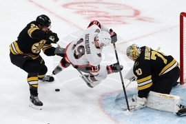 Senators Bruins Hockey