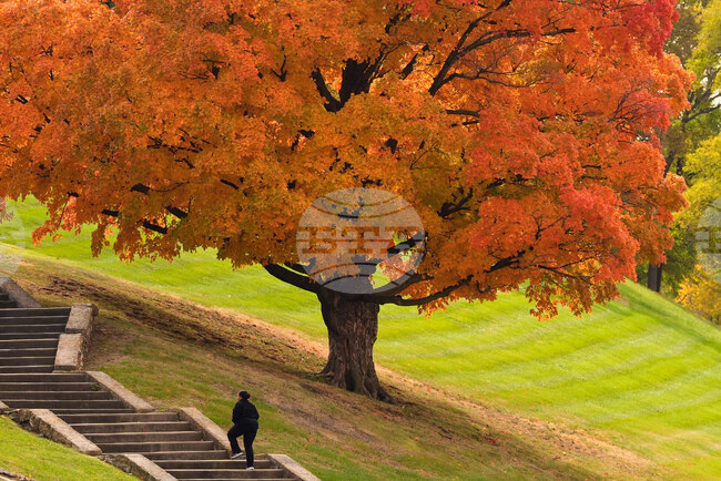 APTOPIX Missouri Daily Life