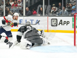 Panthers Kings Hockey