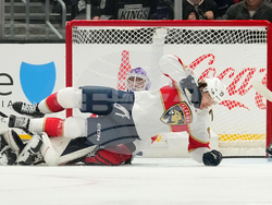 Panthers Kings Hockey