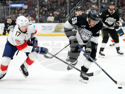 Panthers Kings Hockey