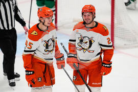 Ducks Stars Hockey