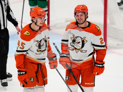 Ducks Stars Hockey