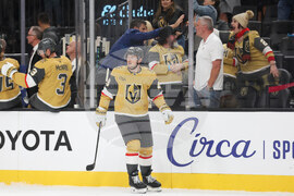 Lightning Golden Knights Hockey