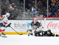 Panthers Kings Hockey