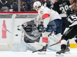 Panthers Kings Hockey