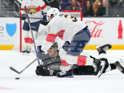 Panthers Kings Hockey