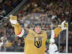 Lightning Golden Knights Hockey