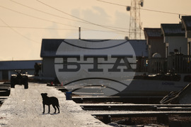 Alaska Typhoon Aftermath