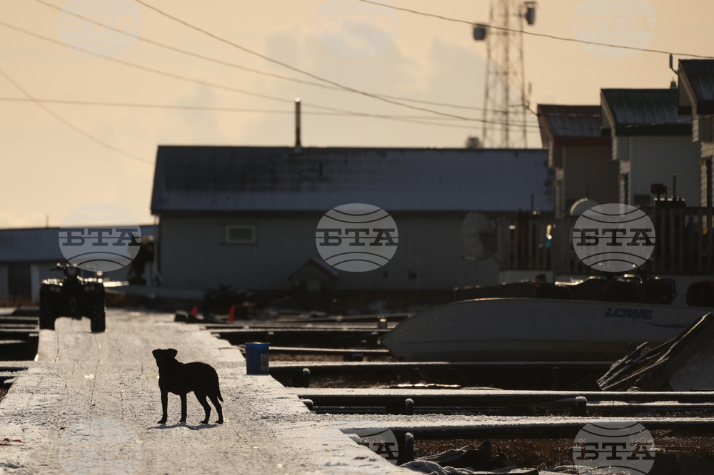 Alaska Typhoon Aftermath