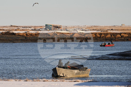Alaska Typhoon Aftermath