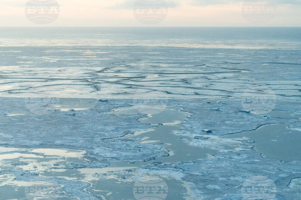 Alaska Typhoon Aftermath