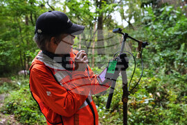 Japan Monkey Chasing