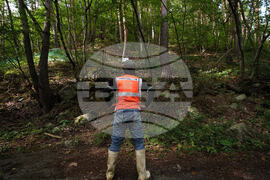 Japan Monkey Chasing