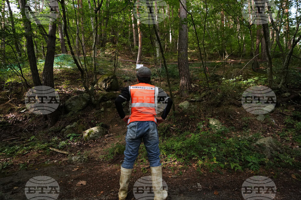Japan Monkey Chasing