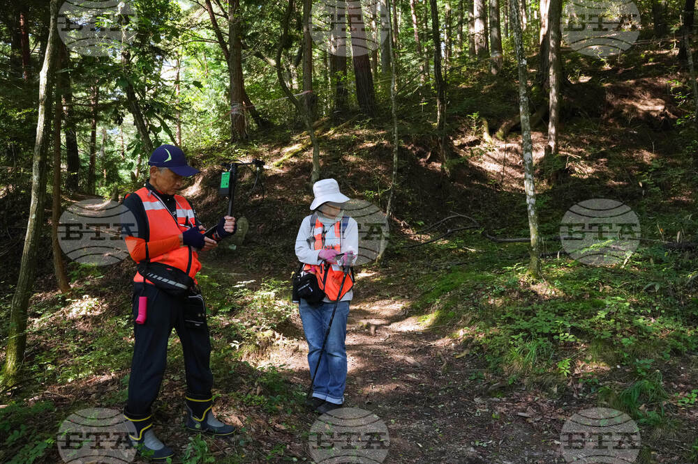 Japan Monkey Chasing