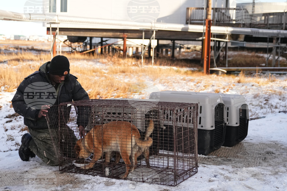 Alaska Typhoon Aftermath