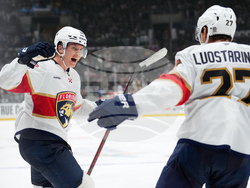 Panthers Kings Hockey