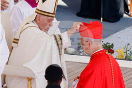 Vatican 6 Months of Leo